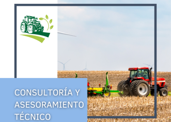 Consultoría y Asesoramiento Técnico