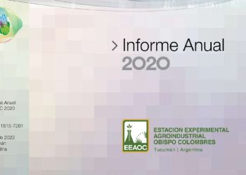 Informe Anual 2020