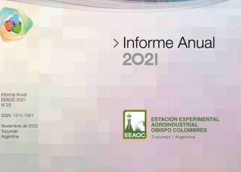 Informe Anual 2021
