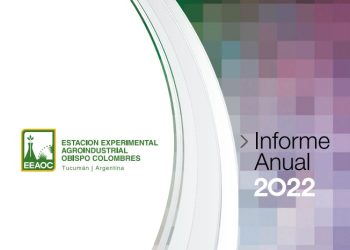 Informe Anual 2022