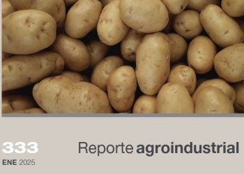 Relevamiento del área cultivada con papa en la campaña 2024 en el pedemonte y llanura de Tucumán y comparación con campañas precedentes