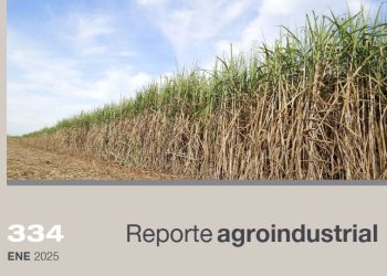 Impacto económico del uso de bioestimulantes en el cultivo de caña de azúcar en Tucumán