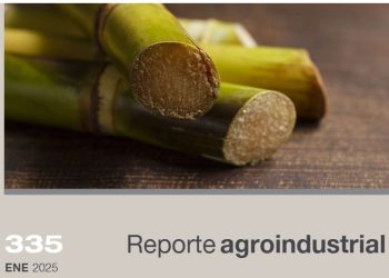 Análisis económico de la fertilización nitrogenada en caña soca, para la zafra 2025 en Tucumán