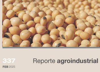 Calidad de la semilla de soja producida en Tucumán y zonas de influencia. Campaña 2023-2024