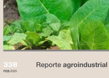 Estimación satelital de la superficie cultivada con tabaco en la provincia de Tucumán en la campaña 2024/2025 y su comparación con campañas precedentes