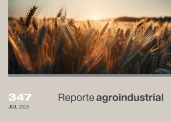 Calidad de la semilla de trigo utilizada en la siembra del ciclo agrícola 2025 en Tucumán y zonas de influencia