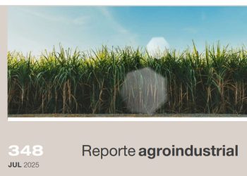 Principales enfermedades que afectaron al cultivo de la caña de azúcar en Tucumán durante la campaña 2024/2025