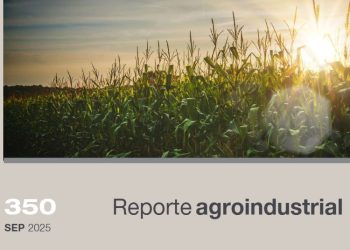 Resultados de la encuesta realizada a productores de maíz en Tucumán y zonas de influencia, campaña 2024/2025