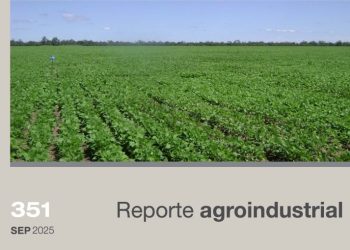 Características generales de la campaña de poroto 2025 y resultados de ensayos