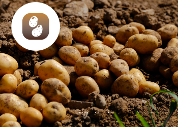 Horticultura Asesoramiento y Evaluaciones