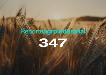 Calidad de la semilla de trigo utilizada en la siembra del ciclo agrícola 2025 en Tucumán y zonas de influencia