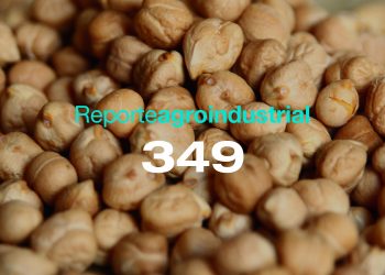 Calidad de la semilla de garbanzo utilizada en la siembra del ciclo agrícola 2025 en Tucumán y zonas de influencia