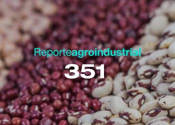 Características generales de la campaña de poroto 2025 y resultados de ensayos