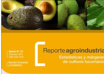RA113-Cultivo de palta: actividad comercial en la Argentina y Tucumán y gastos de producción en la campaña 2015