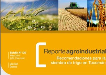 Resultados de la evaluación de cultivares comerciales de trigo de la red de ensayos territoriales (RET), en 2015 y recomendaciones para la siembra de trigo 2016 en Tucumán