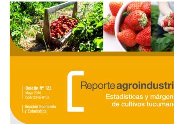Actividad comercial del cultivo de frutilla en la Argentina y Tucumán, campaña 2015 vs 2014 y gastos de producción en el año 2015