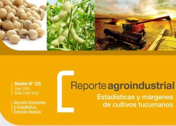 Resultados productivos y económicos del cultivo de soja en Tucumán, en la campaña 2015/16