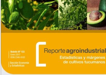 Cultivo de palta: actividad comercial en la Argentina y Tucumán. Gastos de producción en la campaña 2016