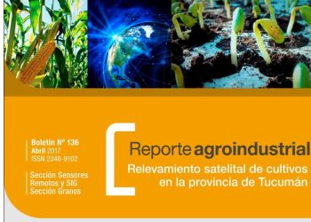 Campaña de soja y maíz 2016/2017 en Tucumán: superficie cultivada y comparación con campañas precedentes