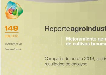 Campaña de poroto 2018, análisis y resultados de ensayos