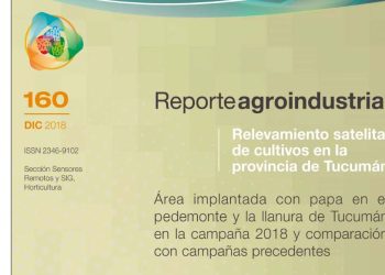 Área implantada con papa en el pedemonte y la llanura de Tucumán en la campaña 2018 y comparación con campañas precedentes