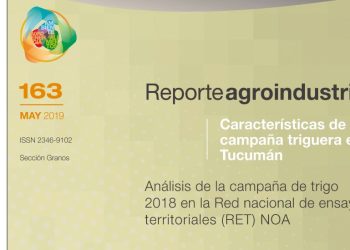 Análisis de la campaña de trigo 2018 en la Red nacional de ensayos territoriales (RET) NOA