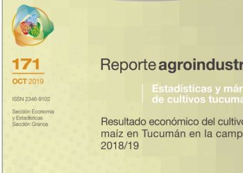 Resultado económico del cultivo de maíz en Tucumán en la campaña 2018/19