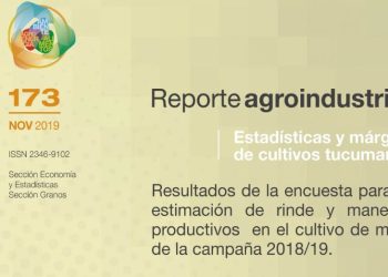 Resultados de la encuesta para la estimación de rinde y manejos productivos en el cultivo de maíz de la campaña 2018/19. Comparación con la campaña precedente.