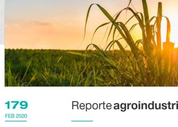 El cultivo de caña de azúcar en Tucumán: gastos de producción y margen bruto en el período 2015/16 – 2018/19.