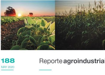 Gastos de producción y rendimientos de indiferencia de los cultivos de soja y maíz en Tucumán y zona de influencia en la campaña 2019/20. Comparación con la zona núcleo.