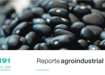 Campaña de poroto 2020: características generales y resultados de ensayos