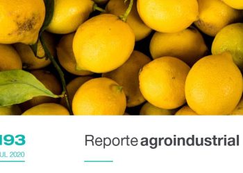 Resultados económicos del cultivo de limón en Tucumán, campaña 2019/2020