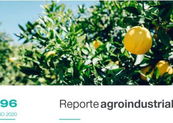 Estimación del área implantada con cítricos en Tucumán en 2020 y comparación con años precedentes