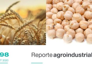 Área cultivada con trigo y garbanzo, en Tucumán, en la campaña 2020 y comparación con campañas anteriores