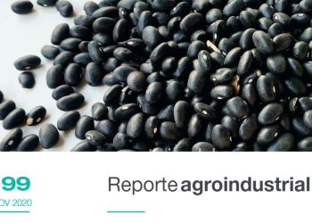 Resultados económicos del cultivo de poroto negro durante el período 2018-2020 y perspectivas 2021