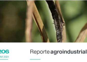 Prospección del carbón en las principales áreas cañeras deTucumán durante el 2020