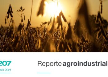 Calidad de la semilla de soja obtenida en las últimas 5 campaña