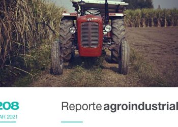 Cultivo de caña de azúcar en Tucumán, margen bruto zafra 2020 y comparación de costos defertilización, control de malezas y plantación entre las campañas 2019/20 y 2020/21