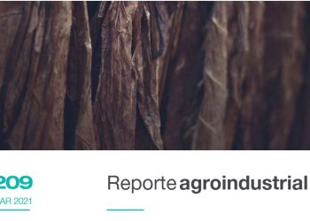 Estimación satelital de la superficie cultivada con tabaco en Tucumán Campaña 2020/21