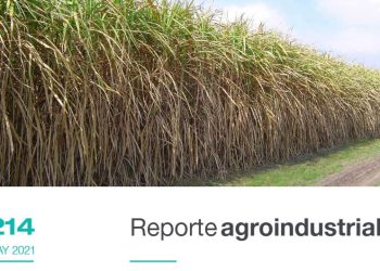 Resultados del análisis prezafra correspondiente a la primera semana de mayo de 2021