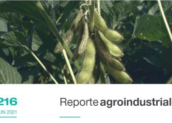 Desarrollo de la campaña de soja 2020/2021 en la provincia de Tucumán