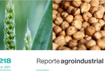 Calidad de la semilla de trigo y garbanzo obtenida en la campaña 2020