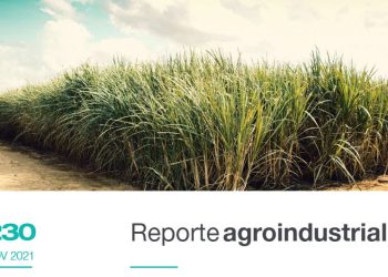 Estado sanitario del cultivo de la caña de azúcar en Tucumán durante la campaña 2020/2021