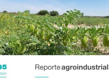 Características generales de la campaña de garbanzo 2021. Resultados de ensayos