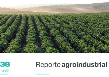 Actividad comercial del cultivo de papa en la Argentina y Tucumán, 2019-2020 y avances 2021