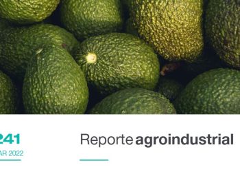 Actividad comercial del cultivo de palta en la Argentina y Tucumán durante el período 2018-2021