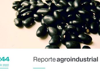 Evaluación económica del cultivo de poroto negro en las campañas 2020, 2021 y perspectivas para 2022