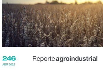 Resultados económicos y productivos del cultivo de trigo en Tucumán, en el período 2014 – 2021 y perspectivas para el año 2022