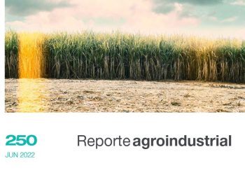 Área cosechable y producción de caña de azúcar para la zafra 2022 en Tucumán