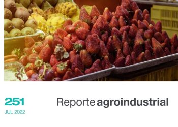 Actividad comercial del cultivo de frutilla en la Argentina y Tucumán, campaña 2021. Gastos de plantación en el año 2022